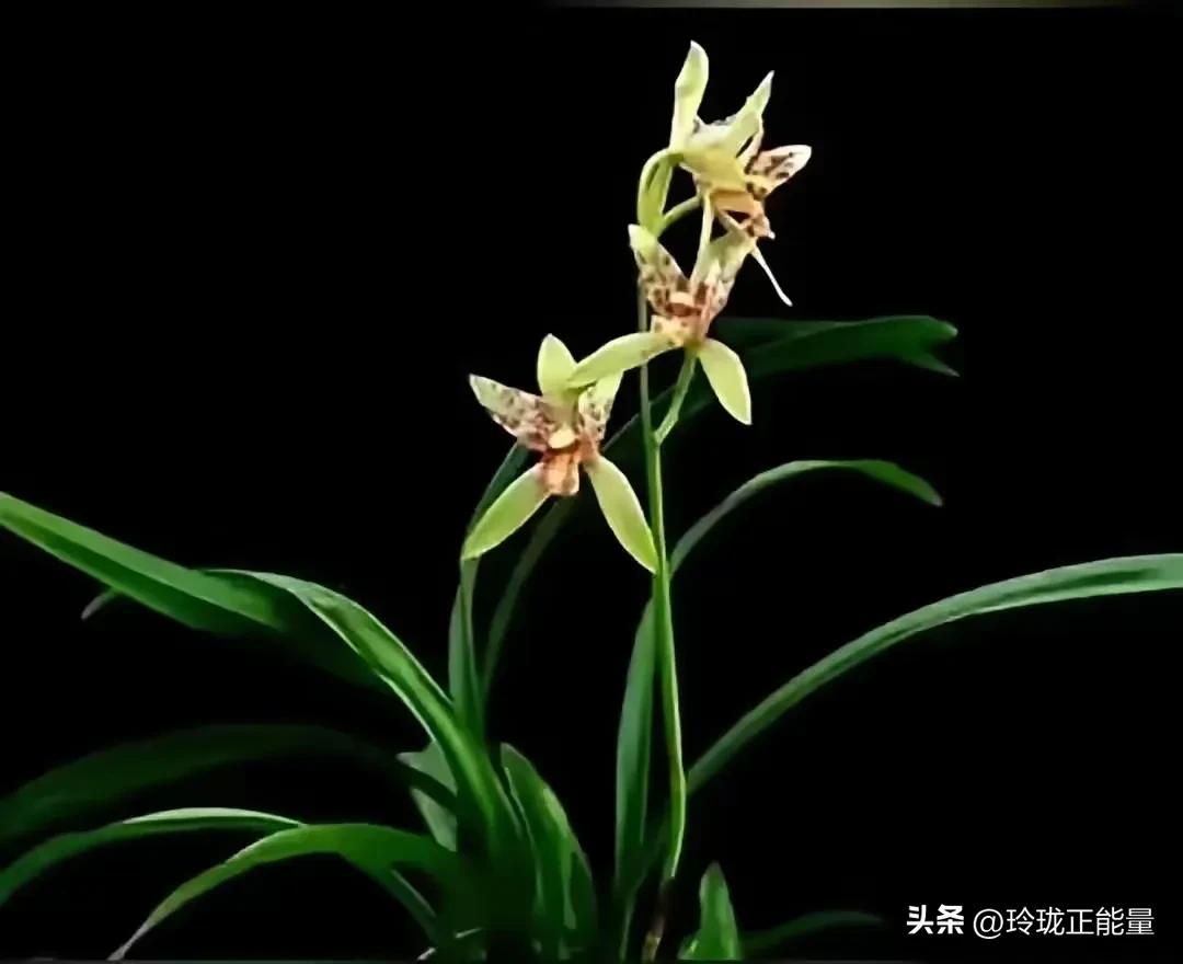 北大教授，一段令人瞬间清醒的话：“记住永远不要，试图去改变任何人，包括你的儿女、