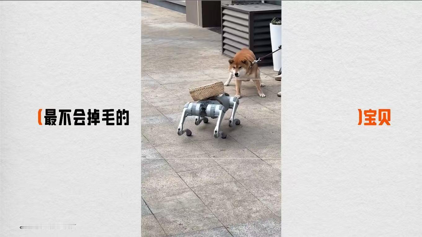 淘宝免单 的狂欢列车已经轰隆隆驶来，淘宝510周年庆抢千万免单 活动更是把这场盛