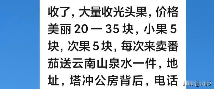 云南收蕃茄太好玩了，种的多，收的多，卖蕃茄送矿泉水一件。今年送水，明年送什么呢？