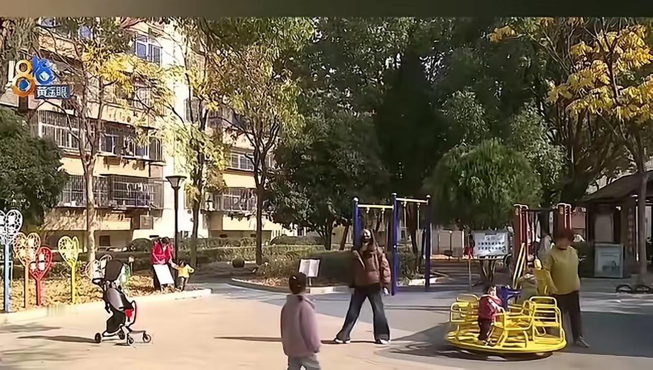 这起事件反映出多方面的问题，也引发了公众对于公共设施安全、责任归属以及邻里关系的