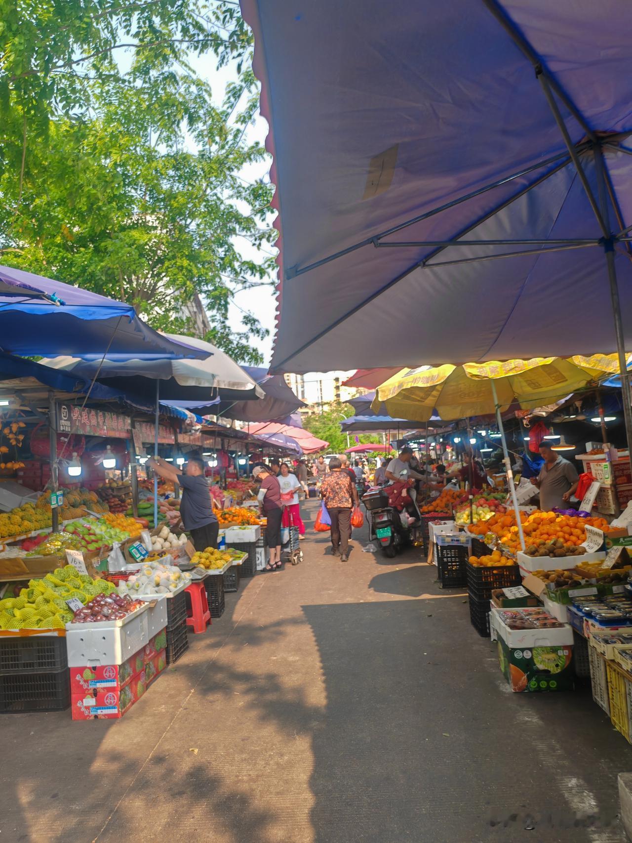 海口海甸岛最具烟火气，最具人气，东北味最浓的一条街。小街不长，百来米，每天早上人