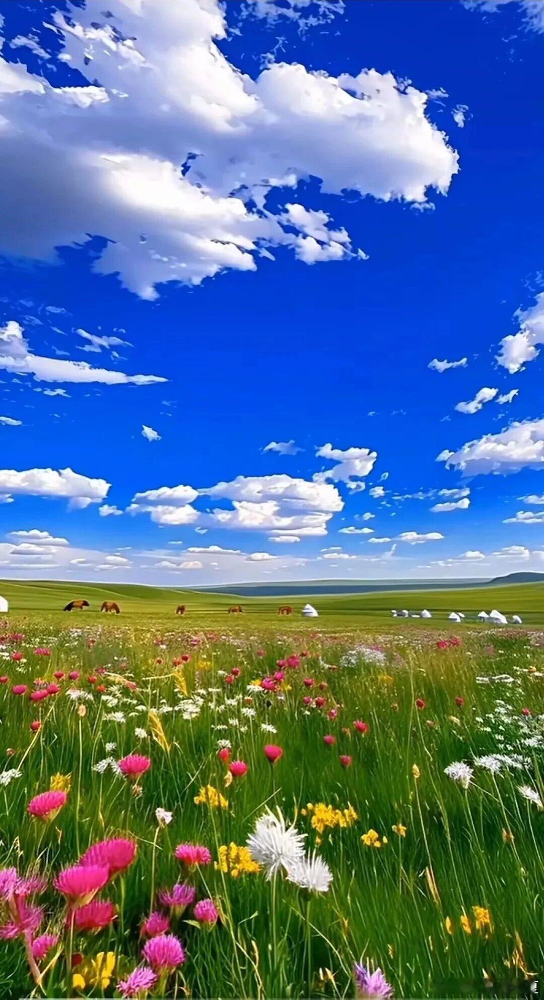 夏日限定，花的浪漫～ 