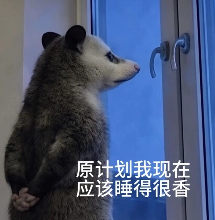 天黑不睡着 天亮还在耗 日夜早颠倒 颠倒~（可是我真的一点也不困 睡不着诶） 