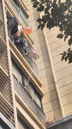 咱说这楼上的邻居也太没眼色了！直接往楼下泼水，把人浇得透心凉，换谁谁不生气！楼下