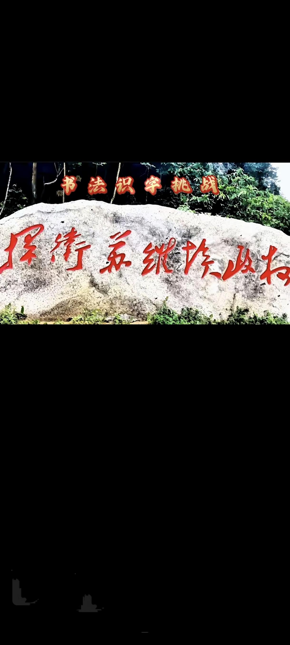 据说能把这几个字全认出来就是大神级别的！我一下子就认出来了：捍卫苏维埃政权，没错