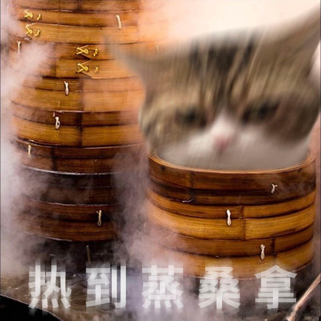 一进入高温就会人品消失躲在空调房温和随和，踏出家门被热浪裹挟就心绪烦躁。高温轻易