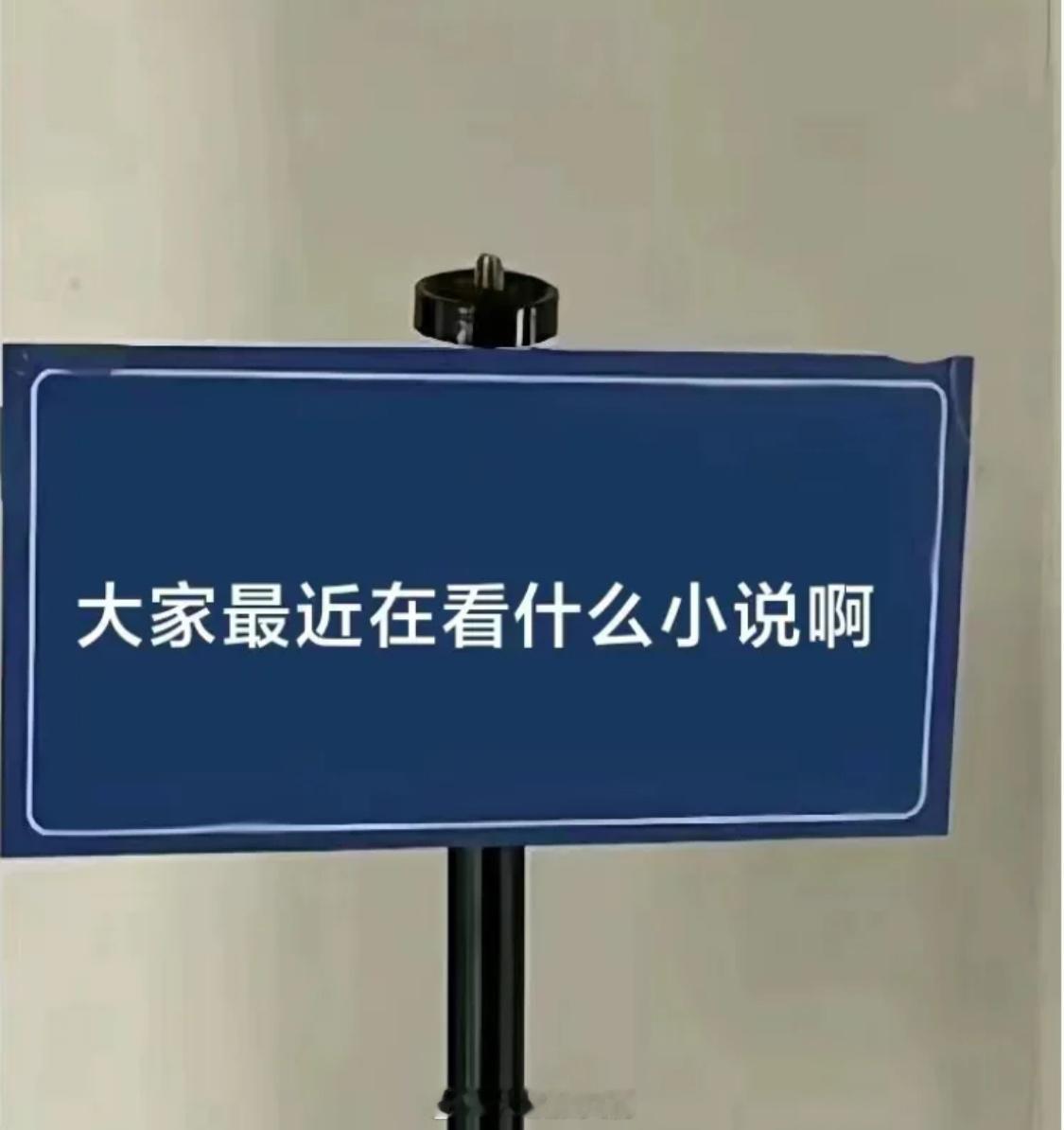 大家最近都在看什么小说呀！ ​​​
