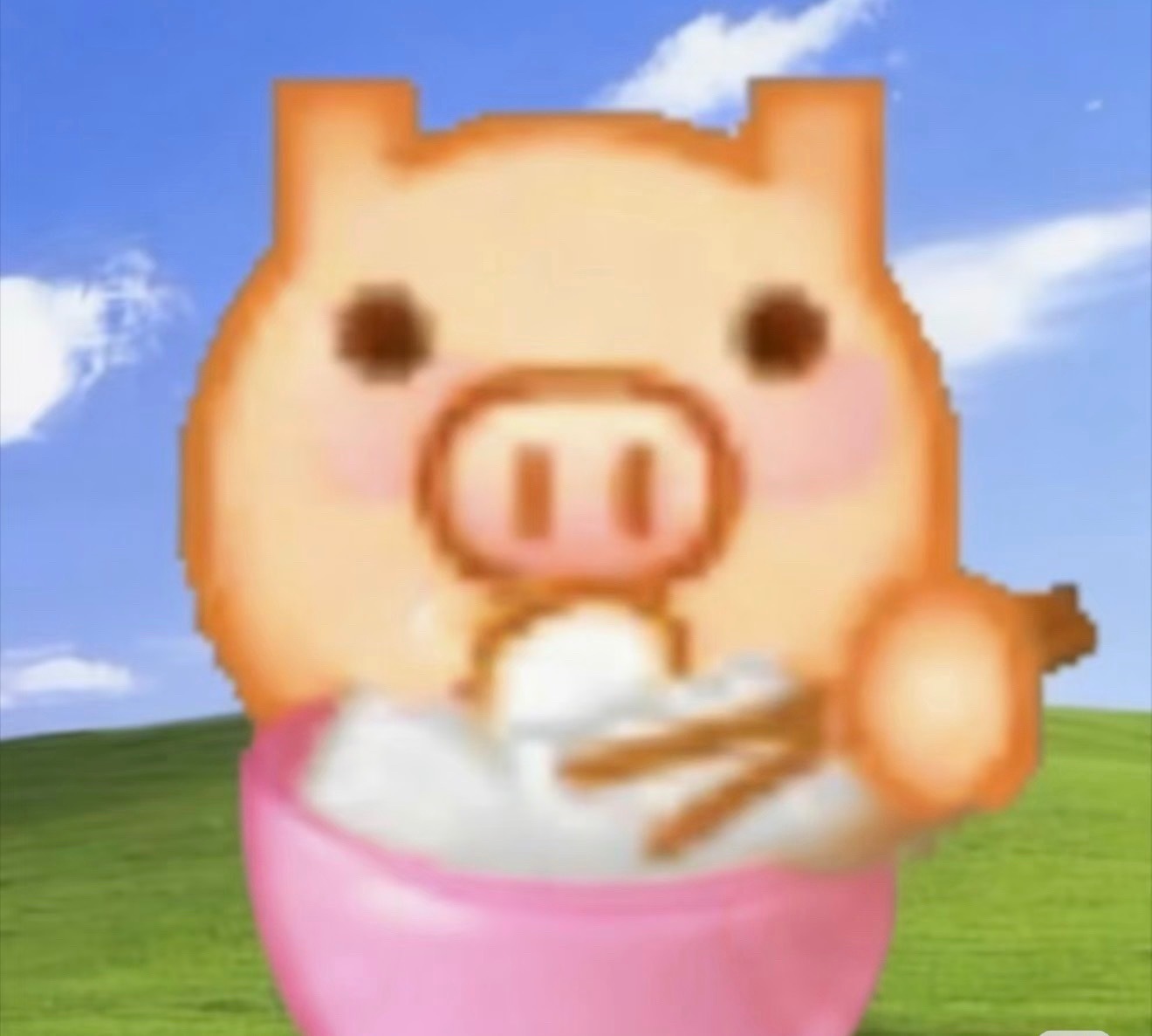 金云志 