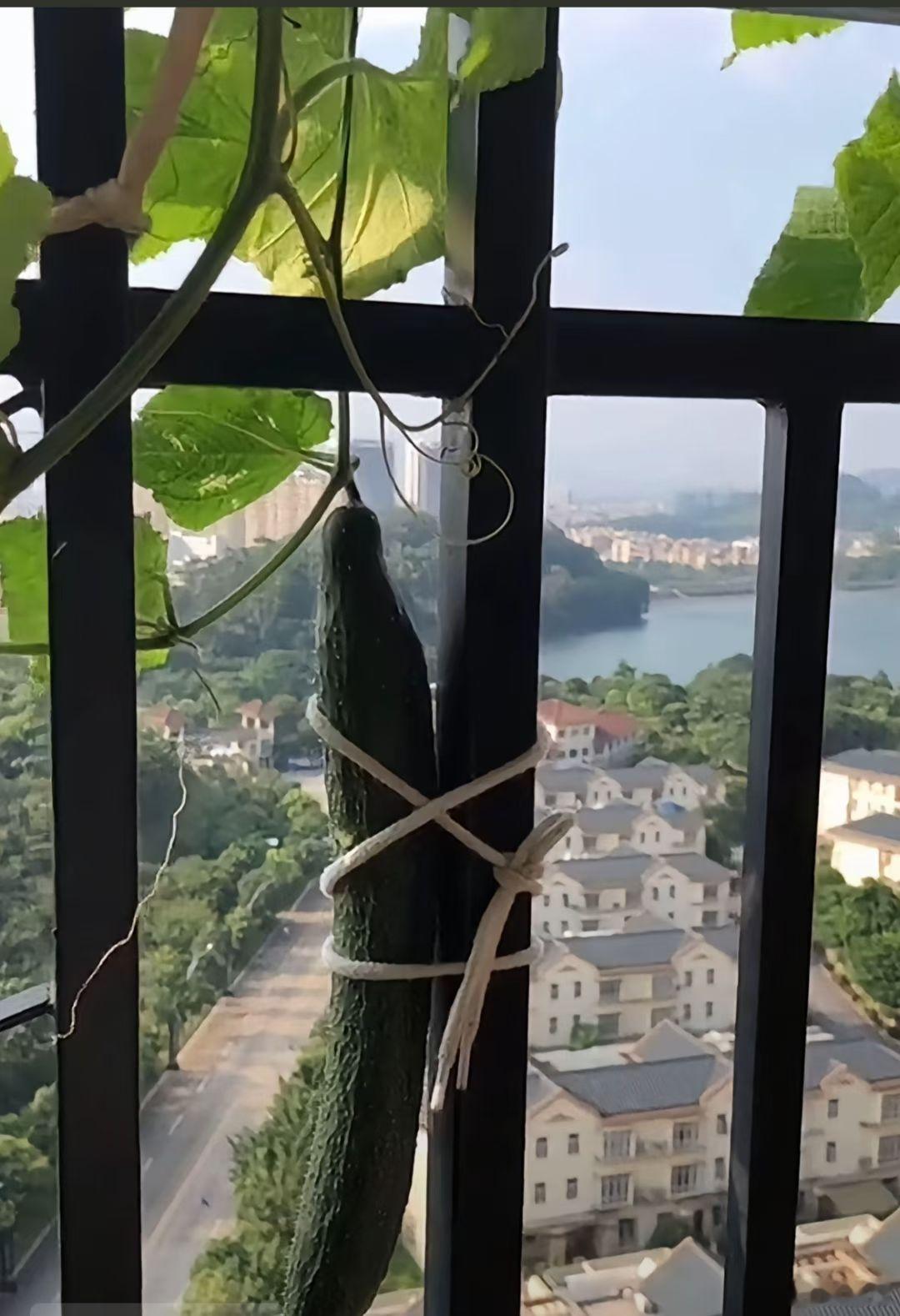 积极应对台风，把财产损失减到最低限度！[坏笑]桦加沙台风 ​​​