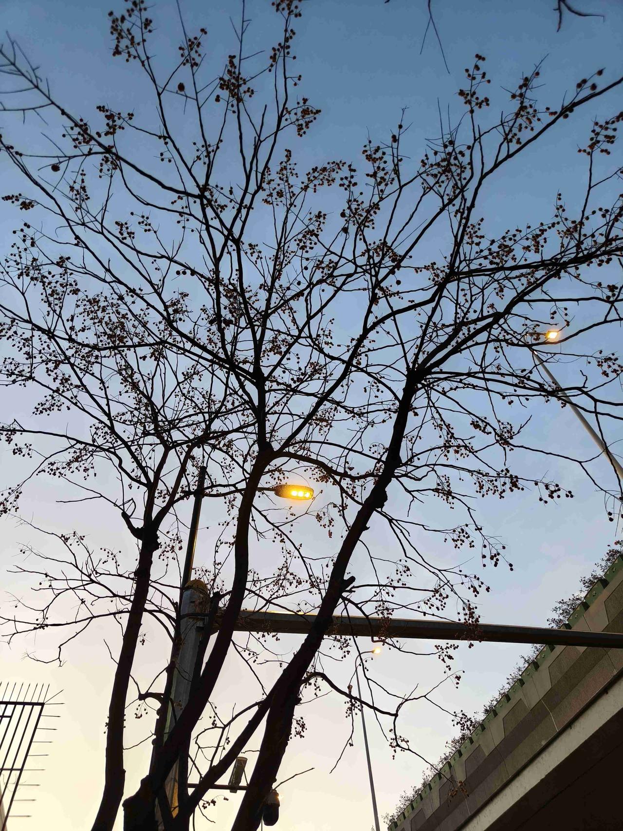 我的今日状态：💰期待暴富
我这里的天气：🌤️多云