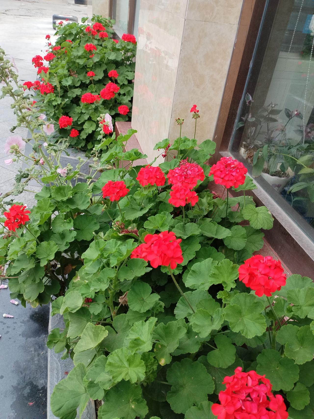 可以对为：

下联：辞旧迎新启新程

解析
上句“张灯结彩送旧岁”，写的是辞旧迎