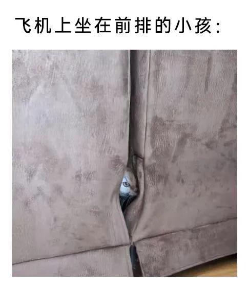 可以说是非常真实了