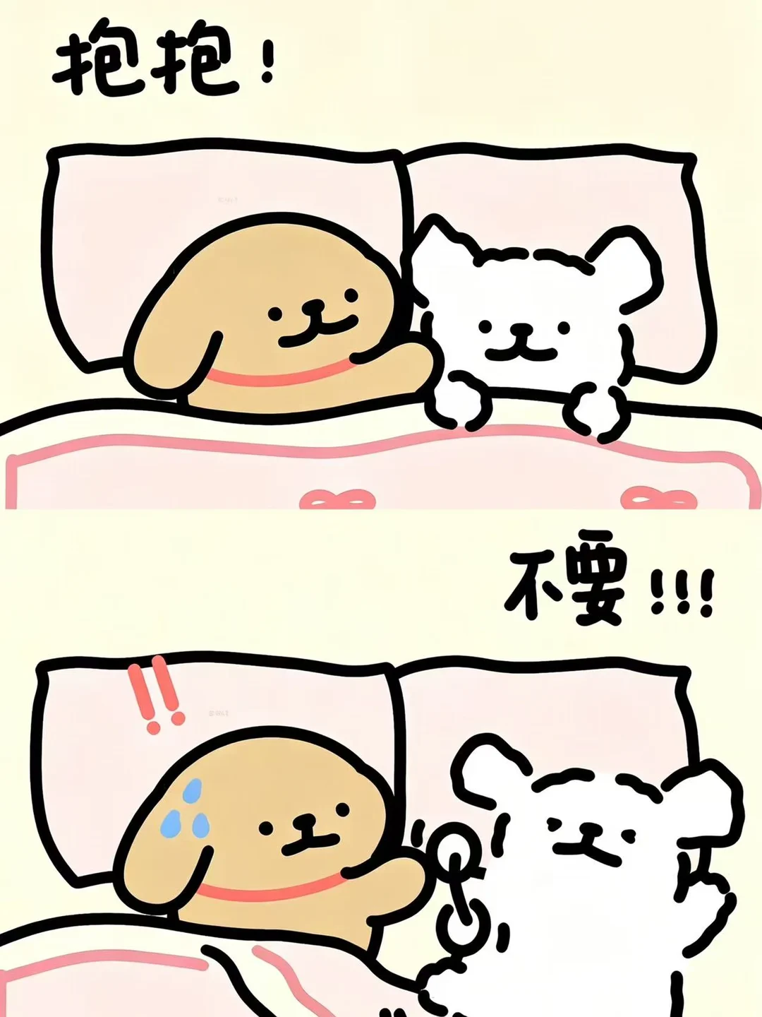 这种小鸡毛最有心机了