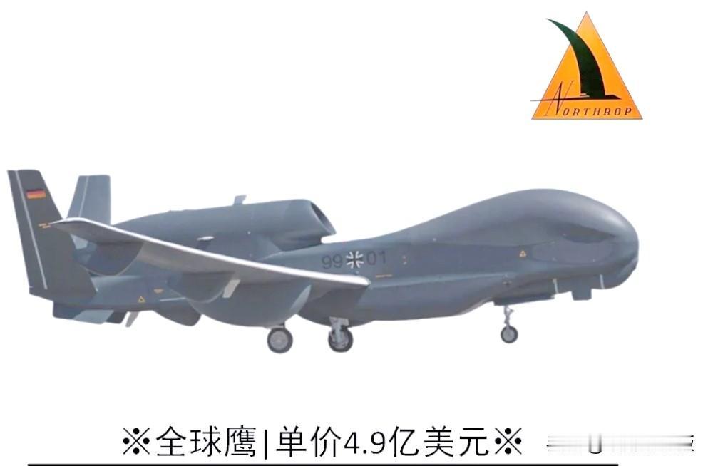 日本“弄丢”全球鹰，更像是针对美国的“苦肉计”！一石两鸟！

资料显示，一架全球