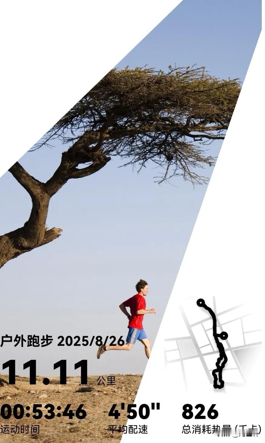 今晨的光里，跑者追着日出踏过11.11公里——53分46秒的坚持，4分50秒的配