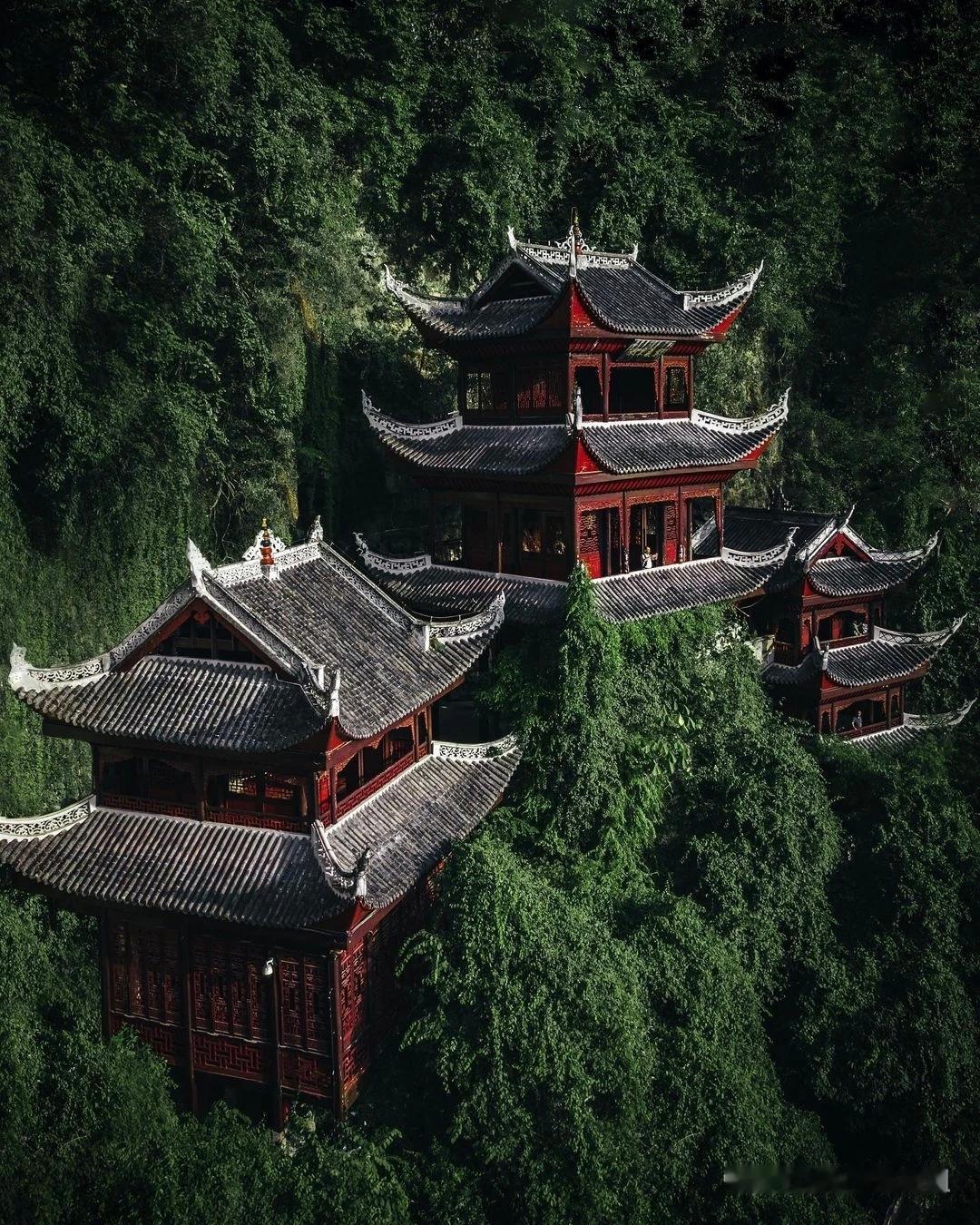 王芗斋说：慢下来，才是真功夫

练拳这事儿，急不得。

我常说一句话：慢优于快，