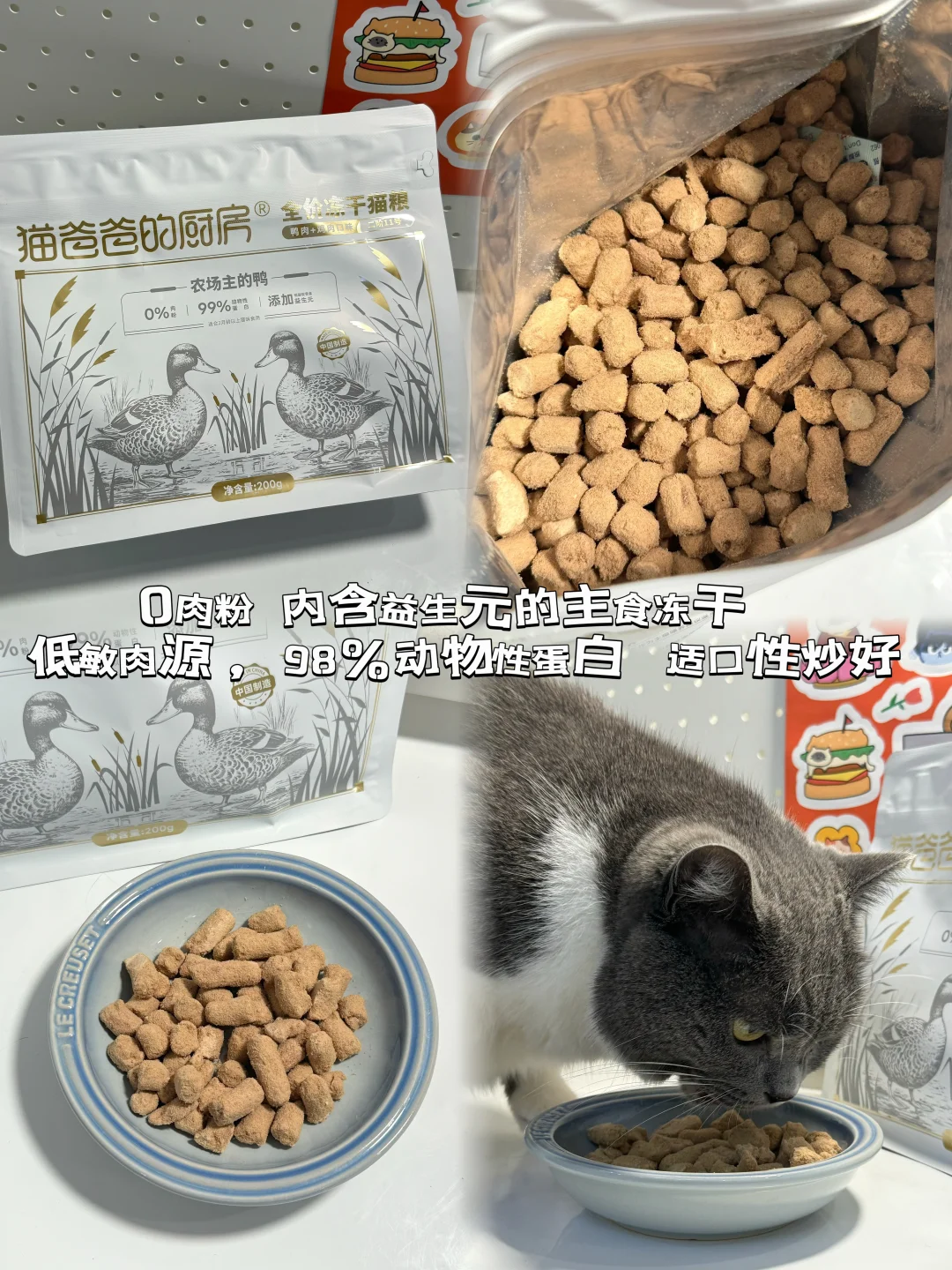 星期六的日常回购清单🧾