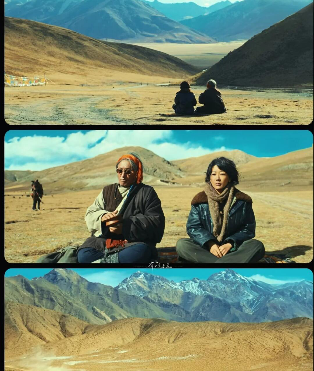 生命树是青海最强文旅宣传片 《生命树》最牛的地方，是让青海不止停留在风景里，它把