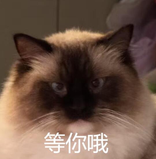 等你噢，但具体在等什么还不知道......