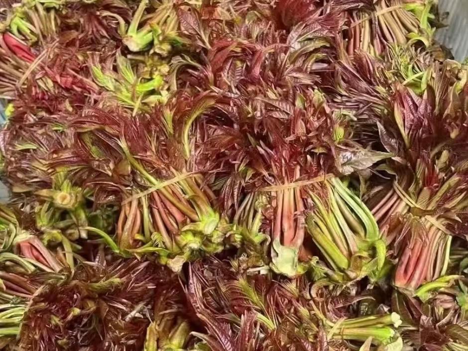 我国最“难吃”的6种蔬菜，评价两极分化，全吃的是“牛人”

1、香菜
2、折耳根