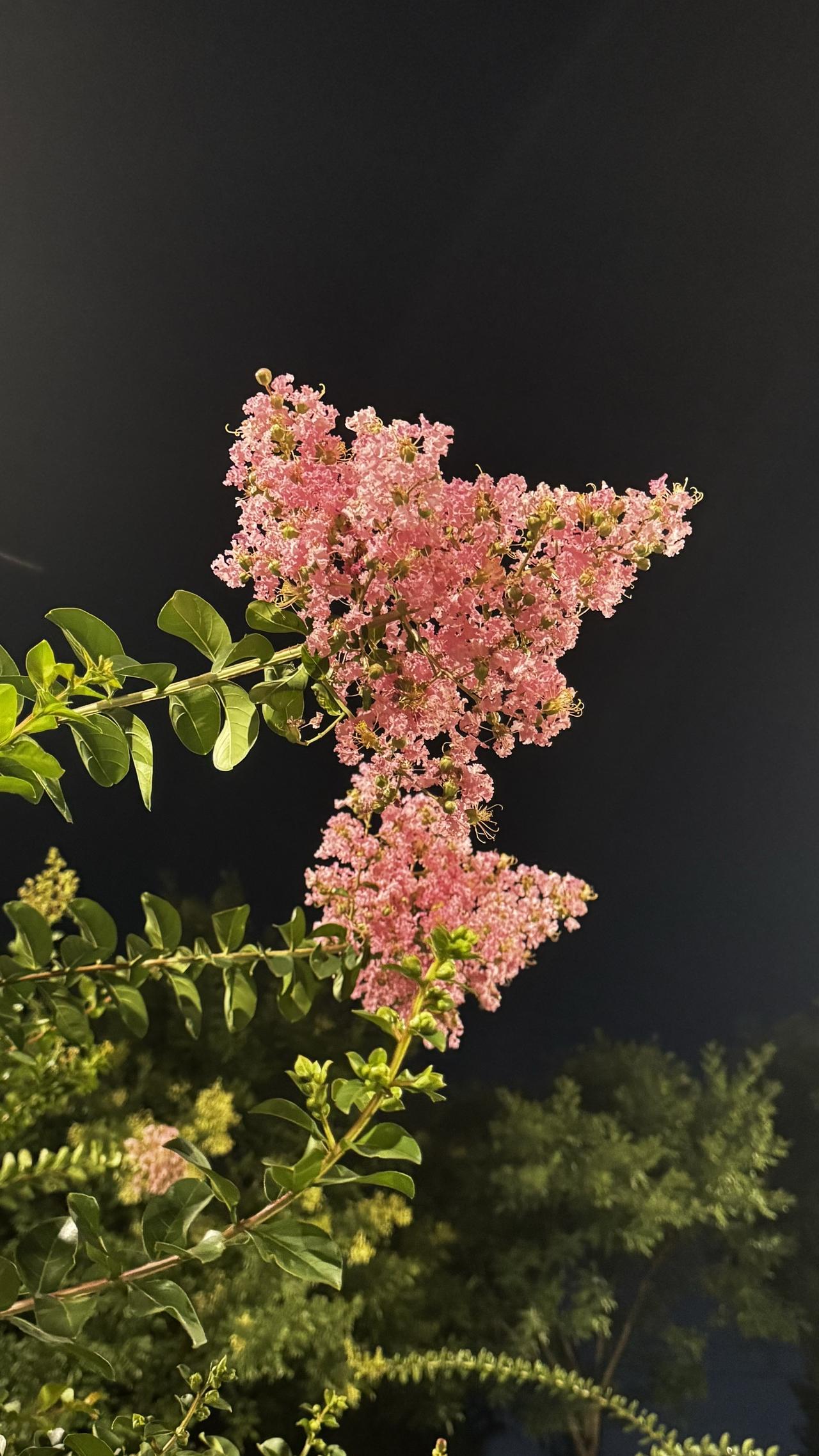 二十岁鲜衣怒马，心比天高，满眼皆是来日可期的浩荡风光。三十岁历经起落，方知人各有