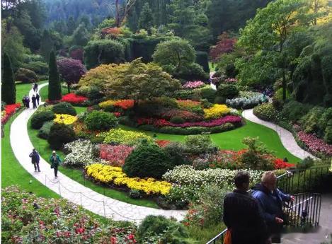 【财富晚茶】今日股市收评：深指跌1.10%：林业震荡回升通讯杀跌导语：作者系《网