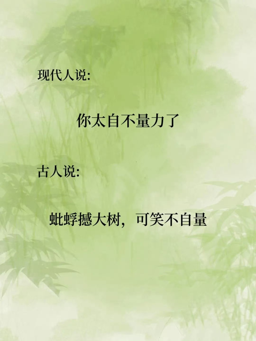 这才是“怼人”高手 