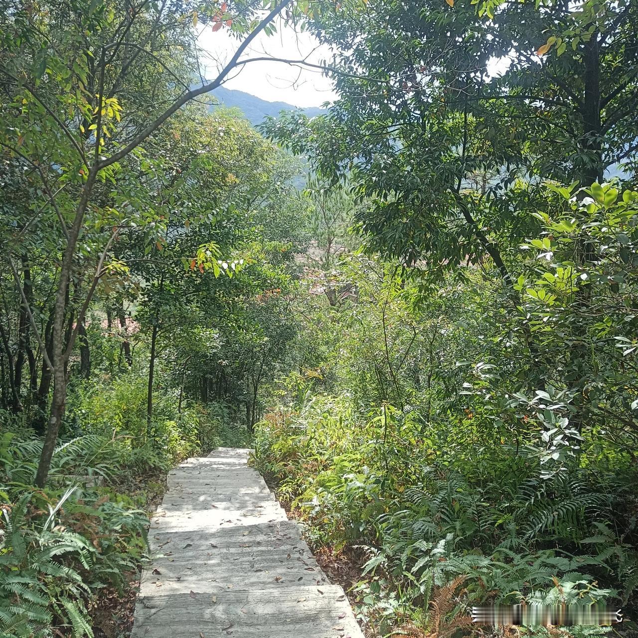 早晨的太阳很明媚；早晨的风很凉快；早晨的空气很新鲜！
#秋日生活打卡季# 
 