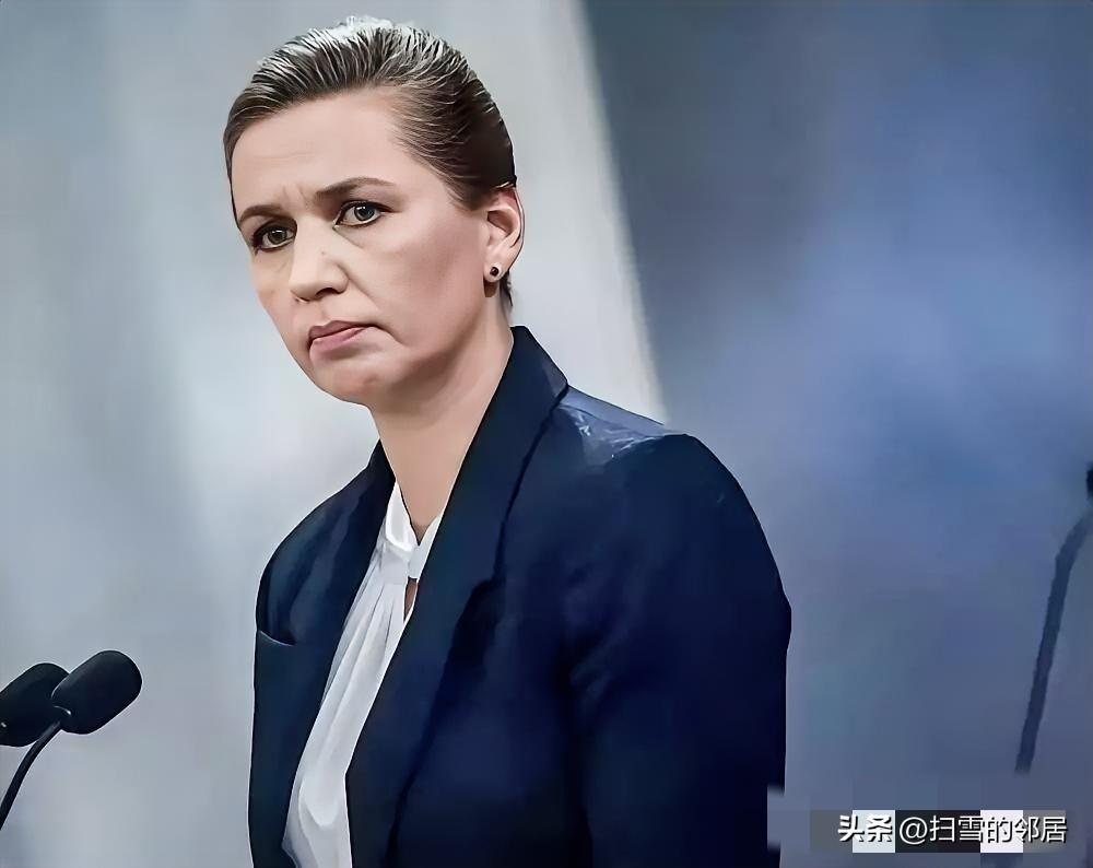 丹麦传来新消息，央视新闻3月25日报道，丹麦首相弗雷泽里克森正式向丹麦国王腓特烈