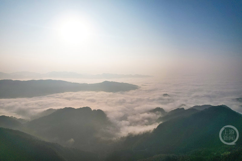 冬趣（540）｜上游主题摄影征稿作品展——严东波作品