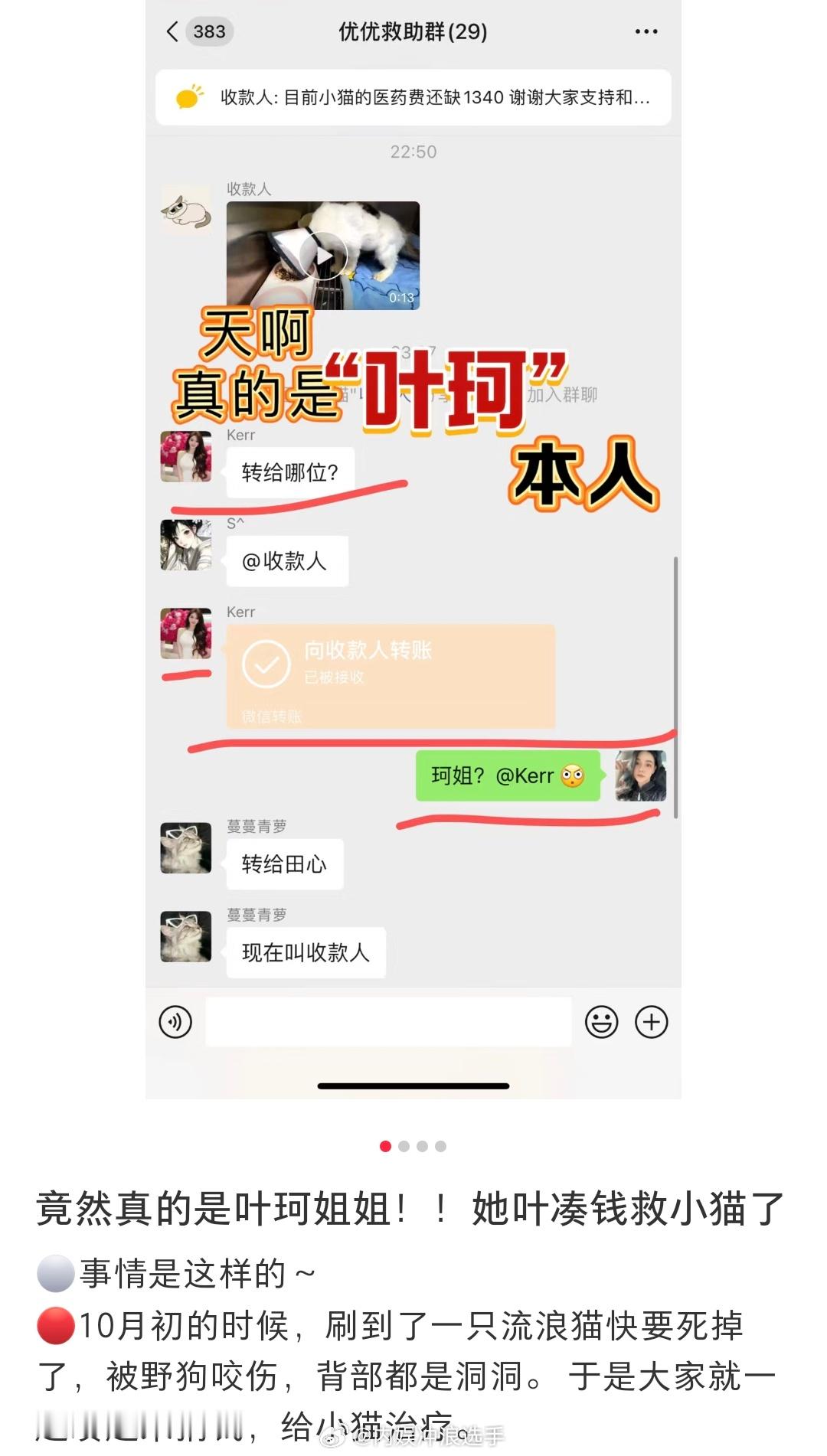 #叶珂捐款救流浪猫##网友曝叶珂捐款救猫#叶珂捐款救流浪猫，很有爱心 ​​​