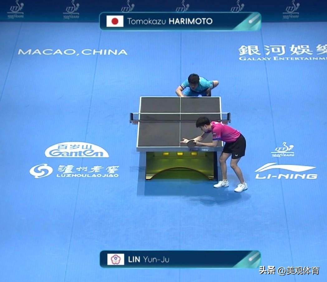 张本智和在与国际乒联不同成员单位的球员比赛时，据观察，大多数中国球迷的倾向性是: