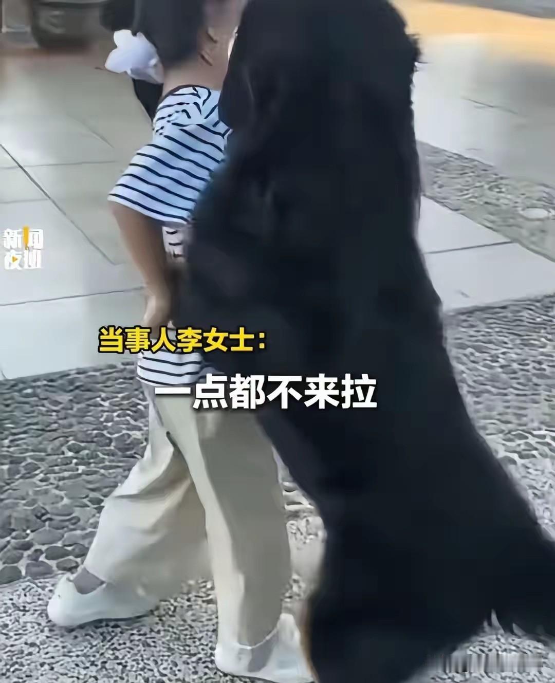 云南玉溪“大狗扑骑女童”事件后续处理结果通报：6月22日，詹女士8岁女儿哭着回家