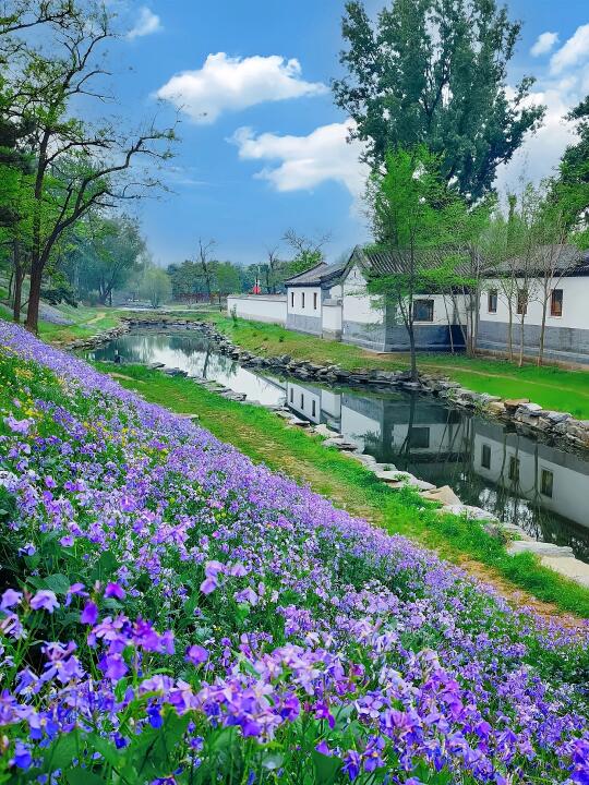 北京｜圆明园❗️真的会劝退每个不做攻略的人！