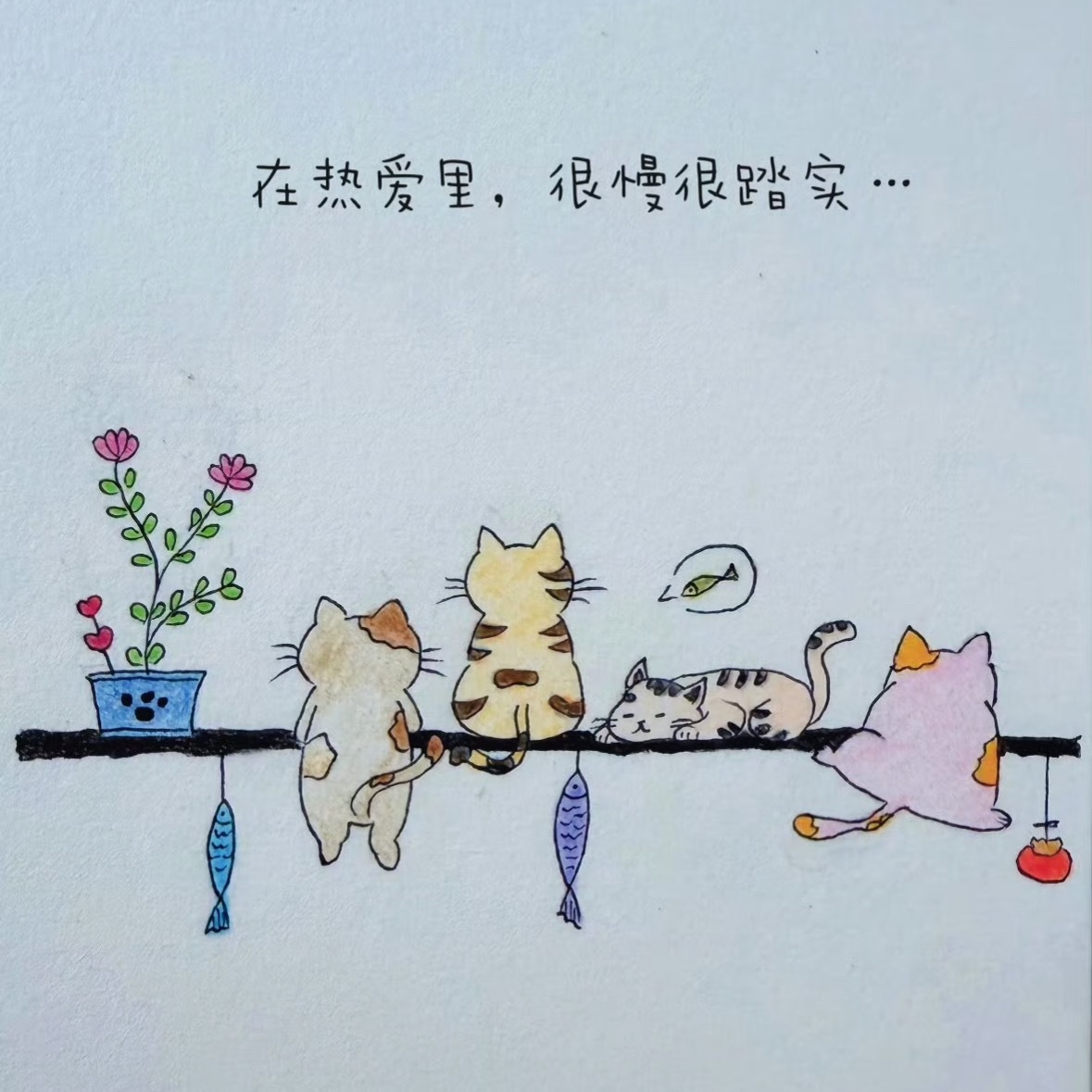 每日一善🌱阳光信用 🌱每日一善☀️极好784， 欢迎一起互动请永远相信，自己