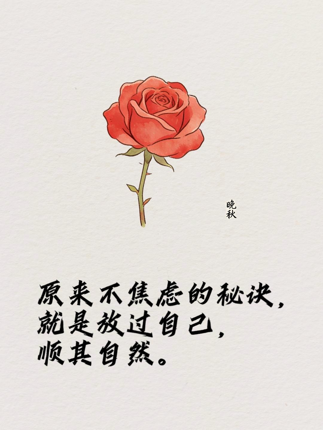 突然一下子就不焦虑了，原来很多烦恼，都是自己想太多。

人生本就没有标准答案。错