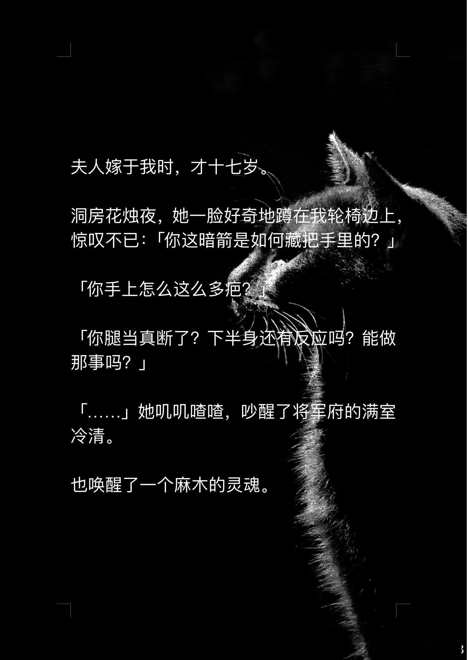 📖落尽暗情→知乎夫人嫁于我时，才十七岁。  洞房花烛夜，她一脸好奇地蹲在我轮椅