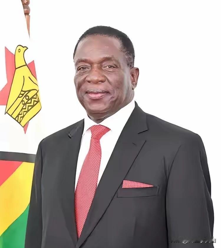 前脚巴拿马不顾中方反对，强行接管了巴拿马港口，后脚津巴布韦突然宣布立即暂停锂原矿