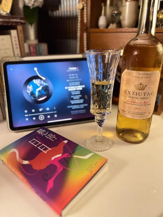 独处、读书、微醺｜开溜日常之外，我的悬停一刻