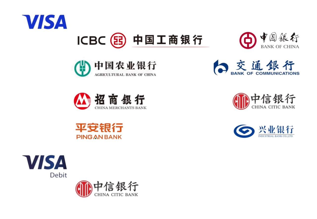 支持visa！