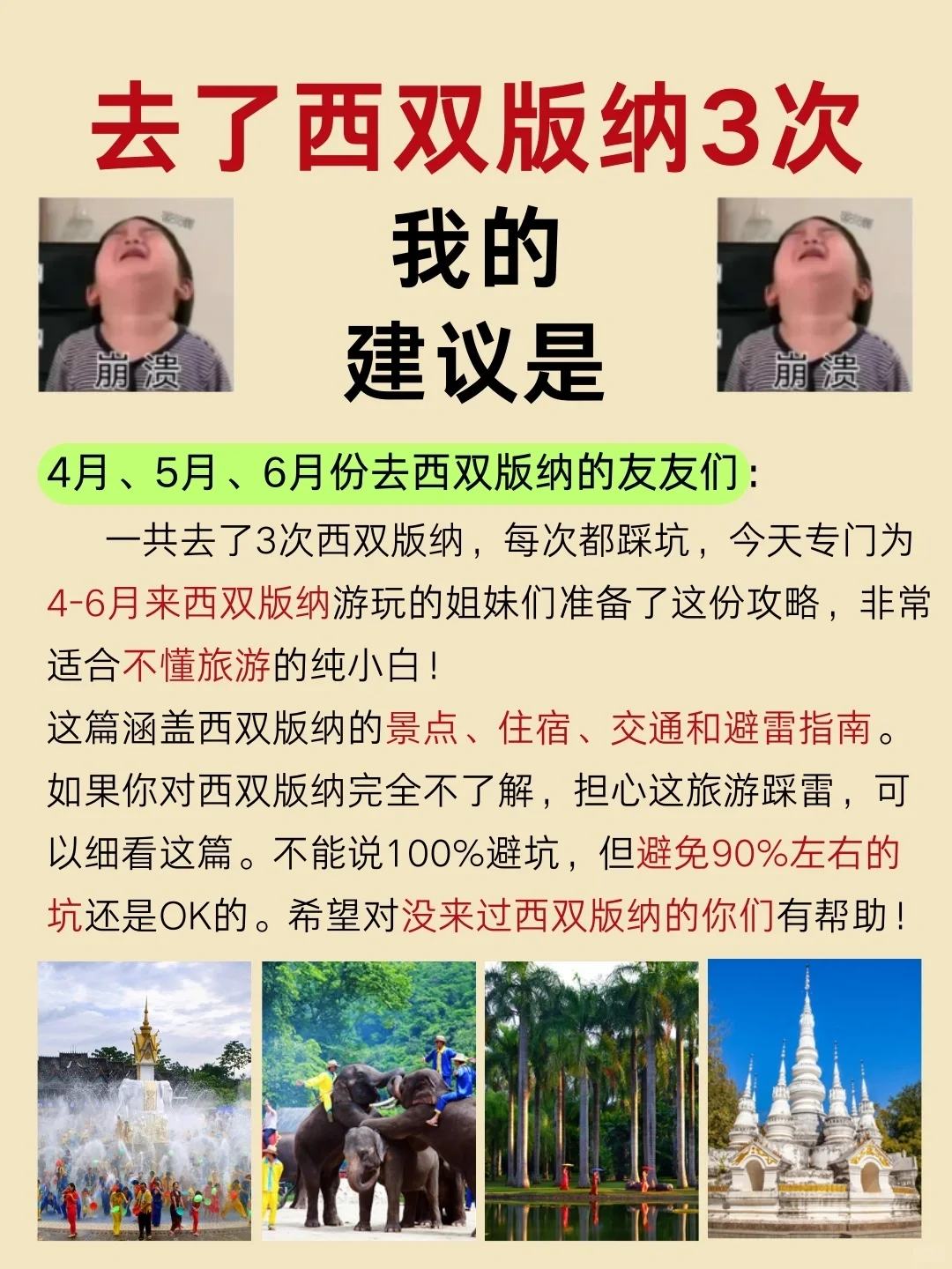 西双版纳旅游攻略🔥第一次去怎么玩呢？