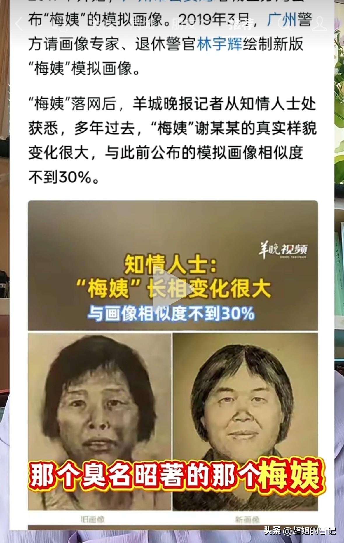 那个臭名昭著的人贩子“梅姨”实际名字“谢某某”终于被抓住了。
这个梅姨已经淡出了