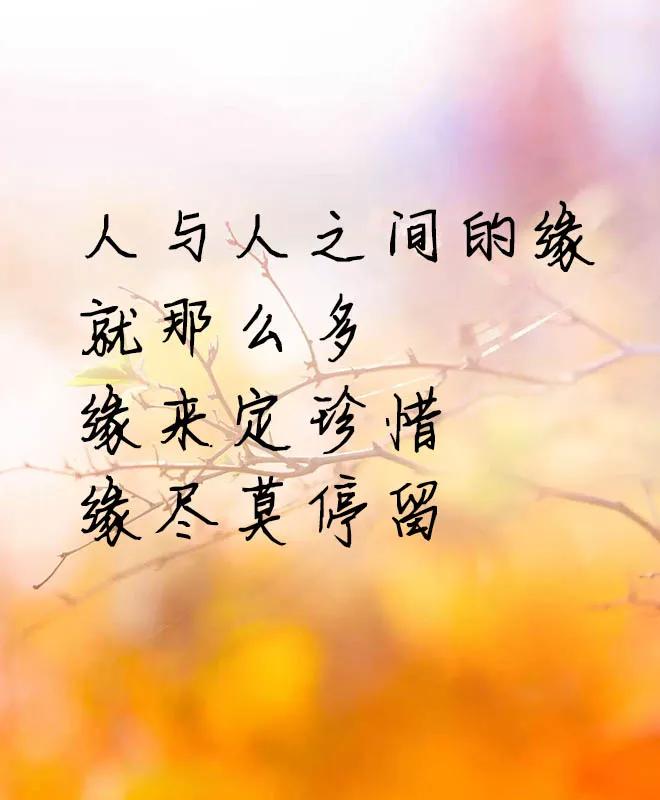 人与人相处
再好的感情
也经不起彼此的冷漠
一段关系不联系了
感情也会慢慢变淡
