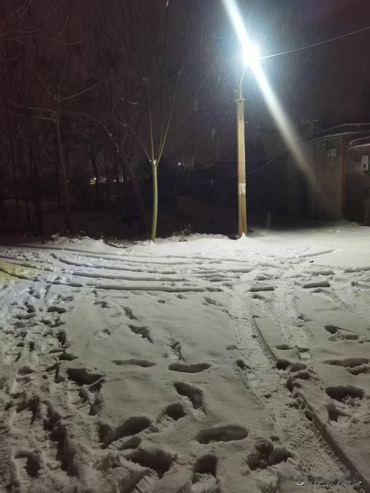 夜晚的雪总是带着点温柔的魔力。刚才下楼扔垃圾，一脚踏进这雪地里，才发现世界已经静