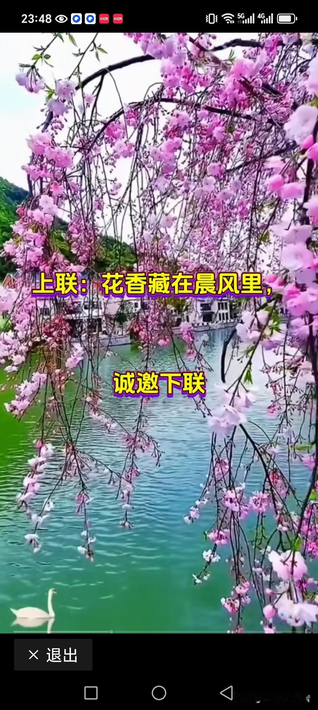 上联:花香藏在晨风里
下联:优雅韵味阳光中