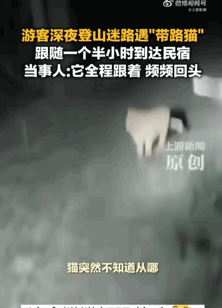 万物皆有灵！山西有6名游客深夜徒步，结果在深山里彻底迷失了方向，正当他们手足无措