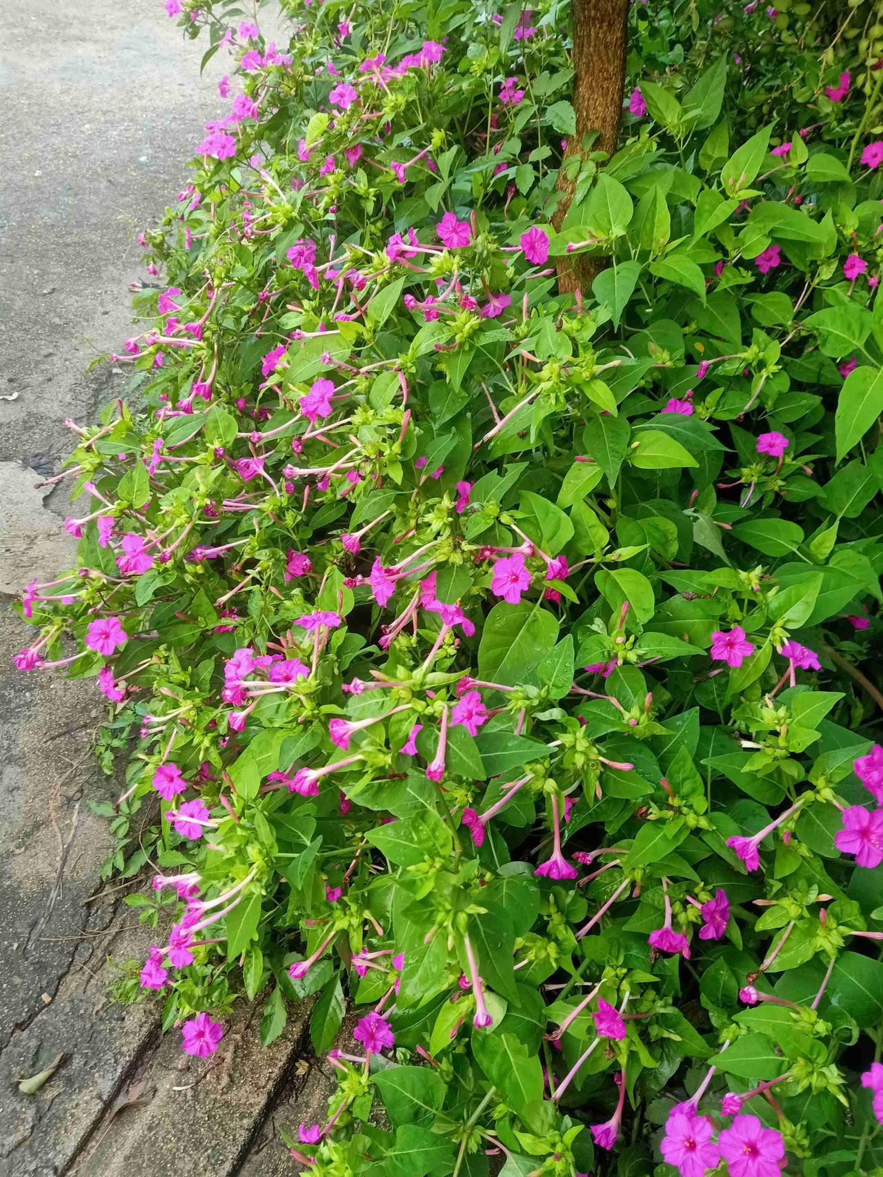 我的今日状态：😁轻松愉快
我这里的天气：🌤️多云