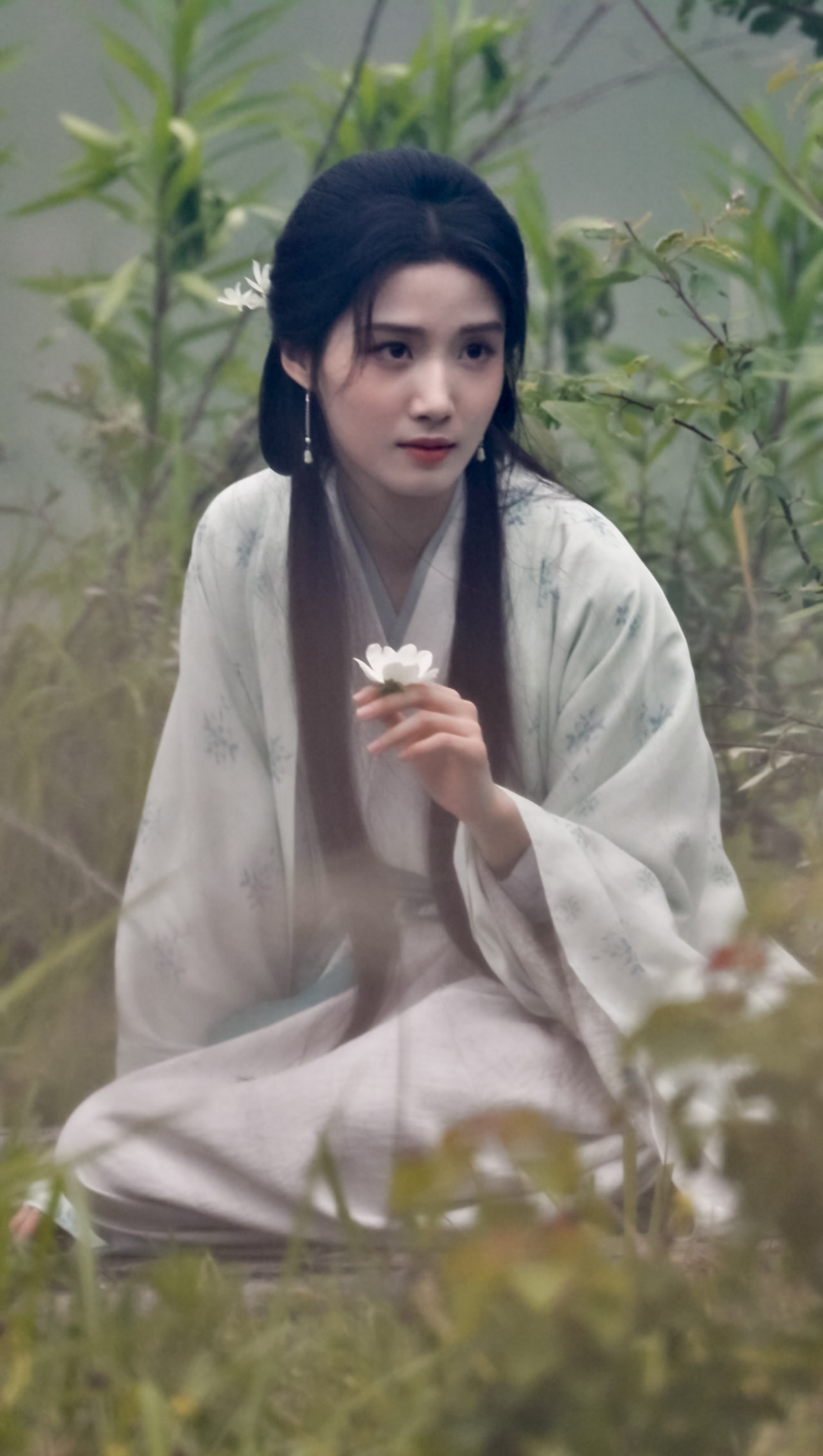 小白花 
