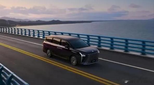 作为星海V9豪华MPV系列的主力车型，它的外观融入了不少中式美学元素。“中国结”