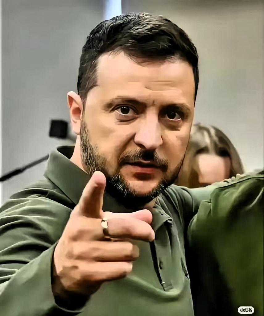 泽连斯基这回算是把“底牌”都亮给全世界看了!

但我只读出了两个字：悲凉。

搞